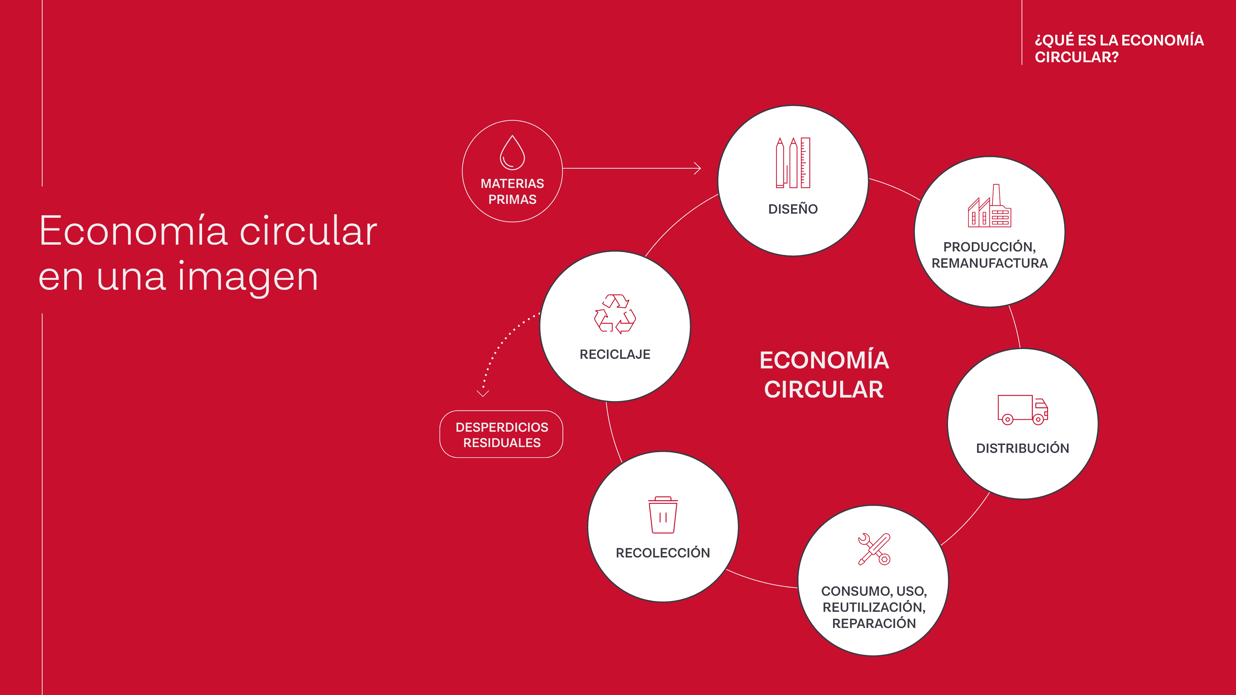 Economía circular en una imagen