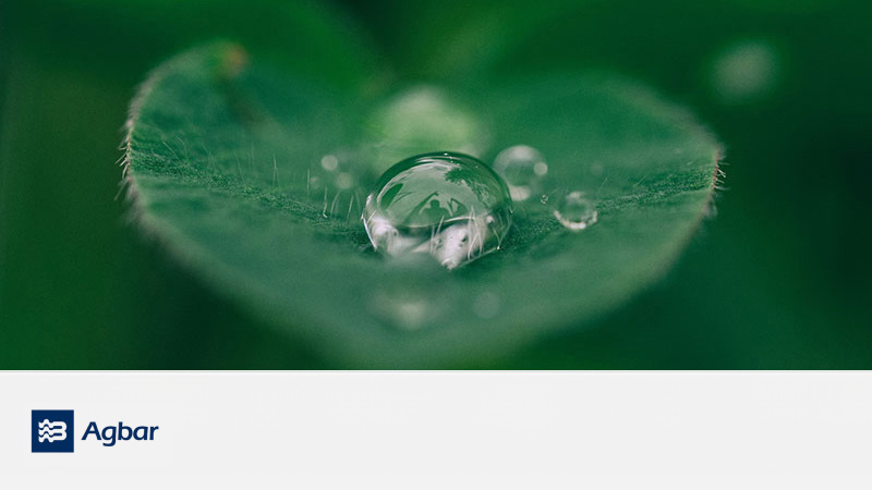 hoja verde con gota de agua sobre ella