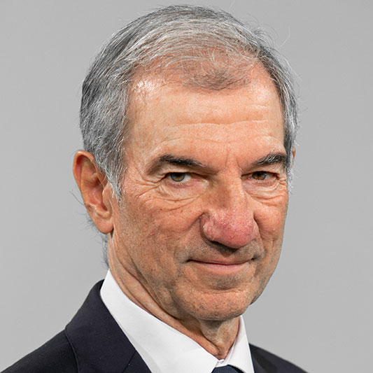Xavier Freixas Dargallo