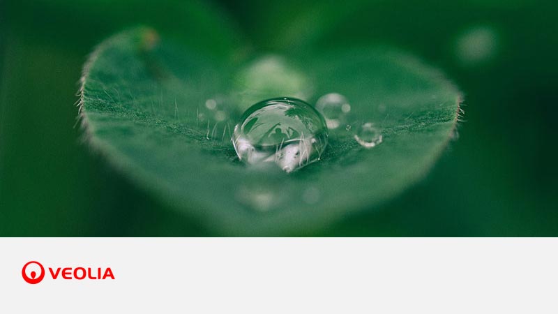 Macro close-up of a green leaf with a water droplet, with the Veolia logo on a white background below.